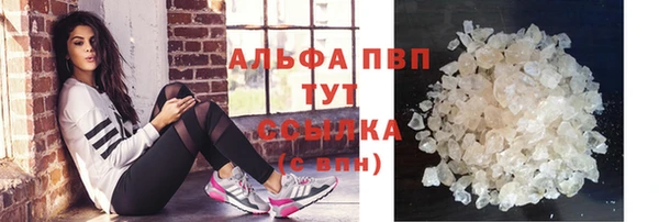 сатива Алзамай