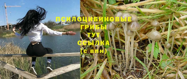 2c-b Алексин