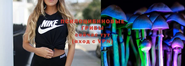 сатива Алзамай