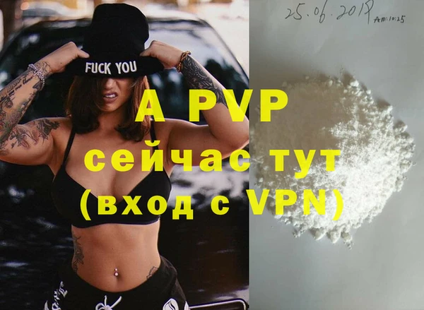 сатива Алзамай
