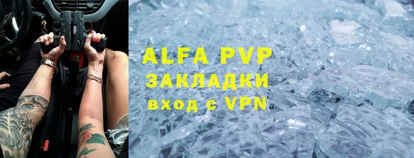 сатива Алзамай