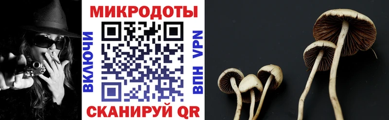 MEGA вход  купить   Нелидово  Галлюциногенные грибы MAGIC MUSHROOMS 